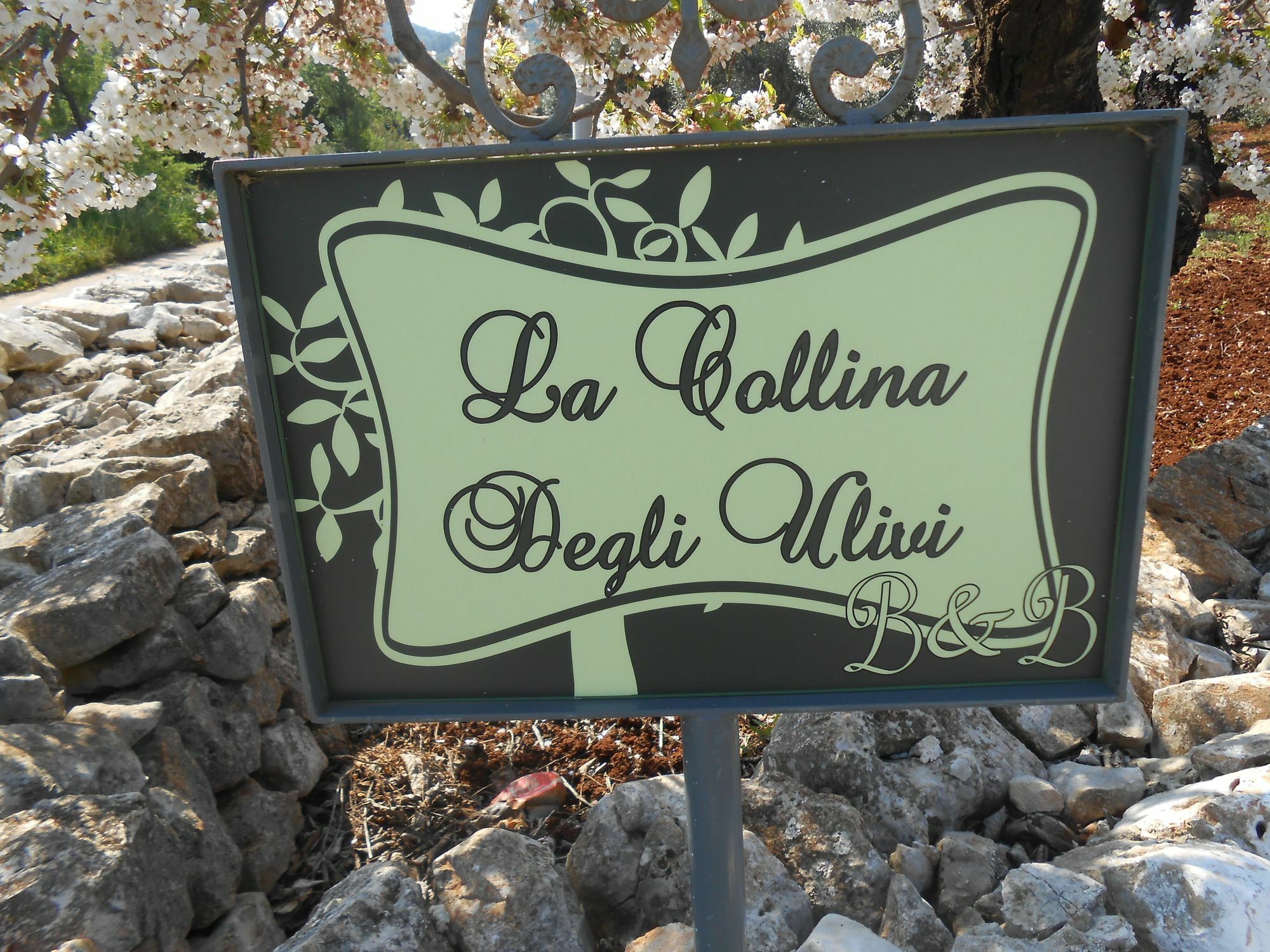 Апартаменти La Collina Degli Ulivi Фазано Екстер'єр фото